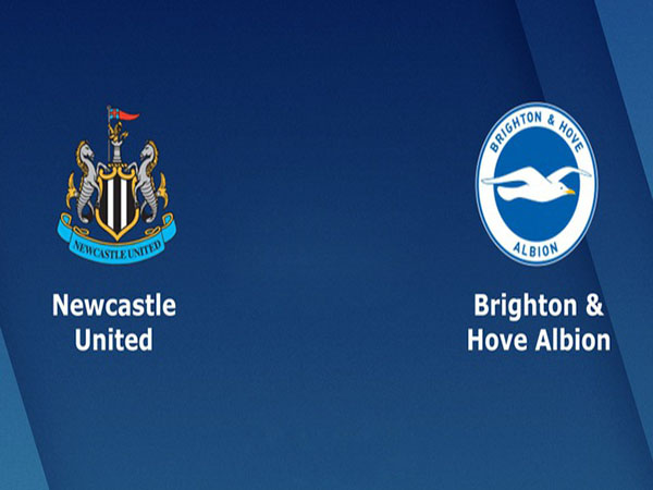 Nhận định Newcastle vs Brighton