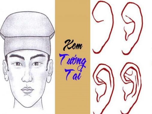 Hình dáng đôi tai nói gì về con người bạn