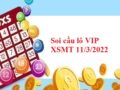 thống kê lô VIP XSMT 11/3/2022 hôm nay