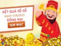 thống kê XSDNA 17/8/2022 chốt bạch thủ VIP Đồng Nai