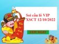 thống kê lô VIP XSCT 12/10/2022 hôm nay