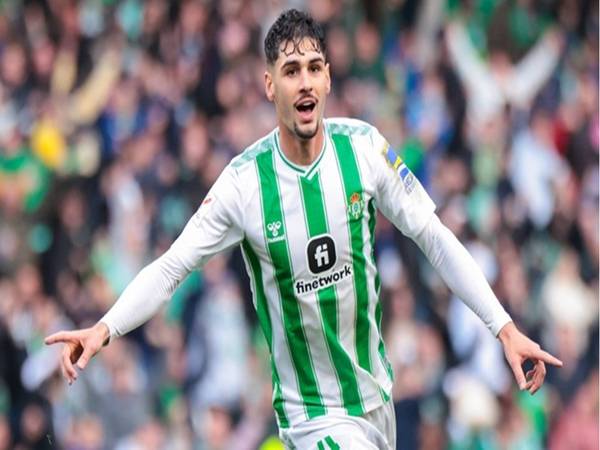 Chuyển nhượng Tottenham: Johnny Cardoso được chiêu mộ