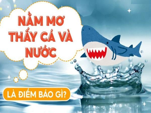 Nằm mơ thấy cá và nước là điềm gì, gợi ý con số may mắn