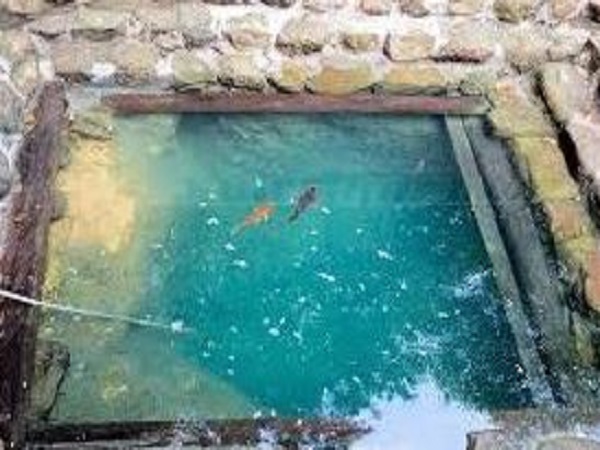 Giải mã chi tiết các giấc mơ thấy cá và nước là điềm gì?