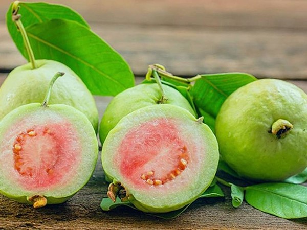 Nằm mơ thấy ăn ổi là điềm gì, chọn liền tay số mấy?