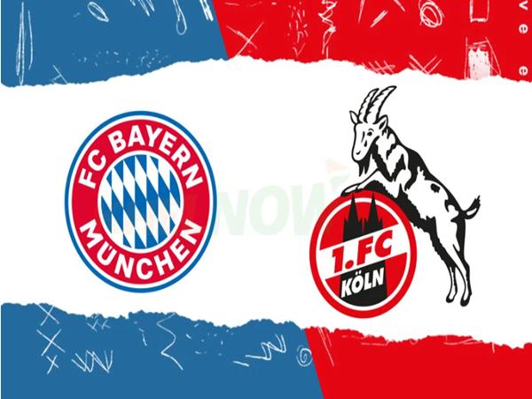 Dự đoán trận đấu, nhận định Bayern Munich vs Koln ngày 16/5